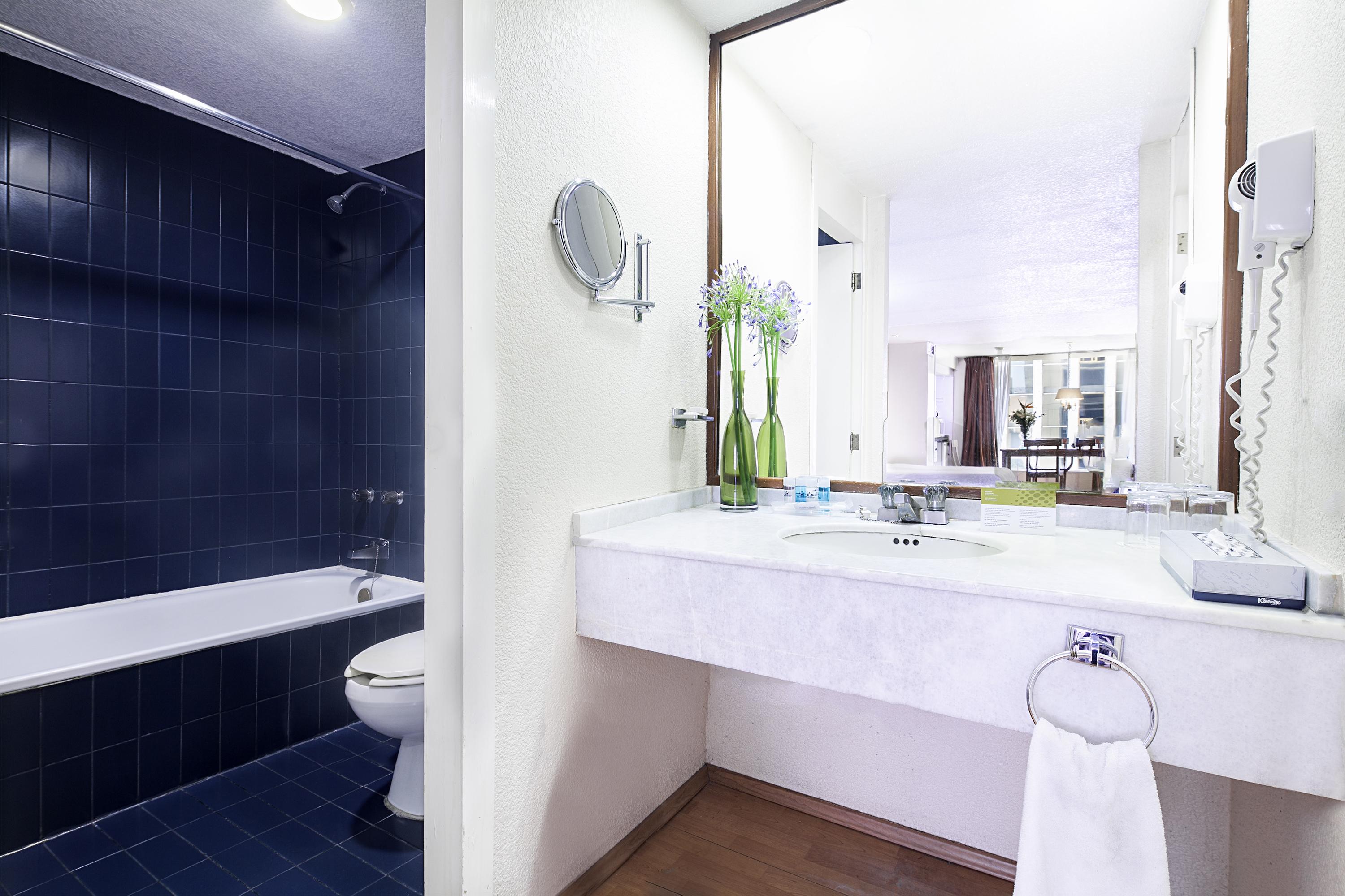 Exe Suites San Marino Ciudad de México Exteriér fotografie Bathroom